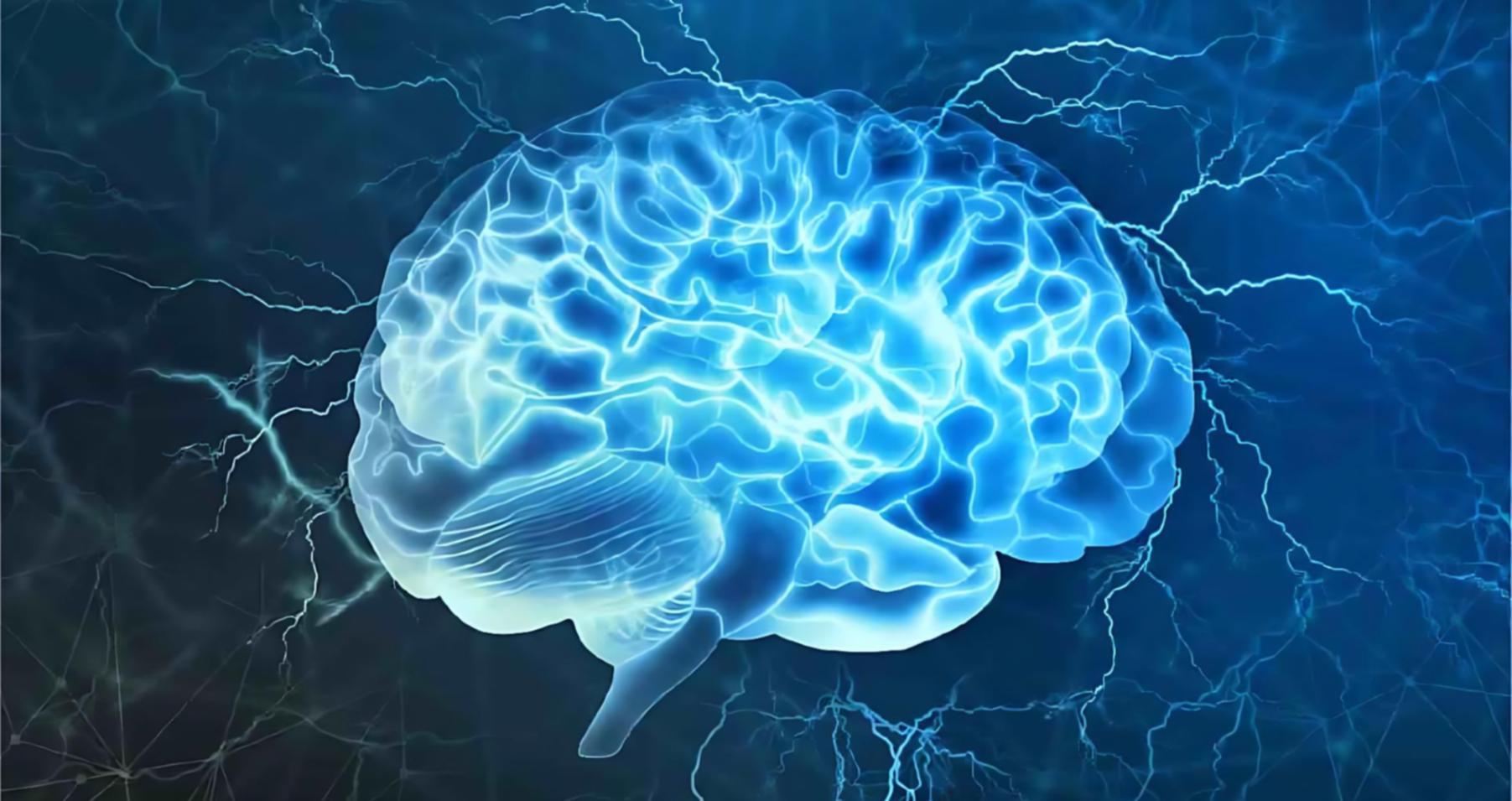 Gruppo di studenti collabora su progetto di analisi predittiva con AI